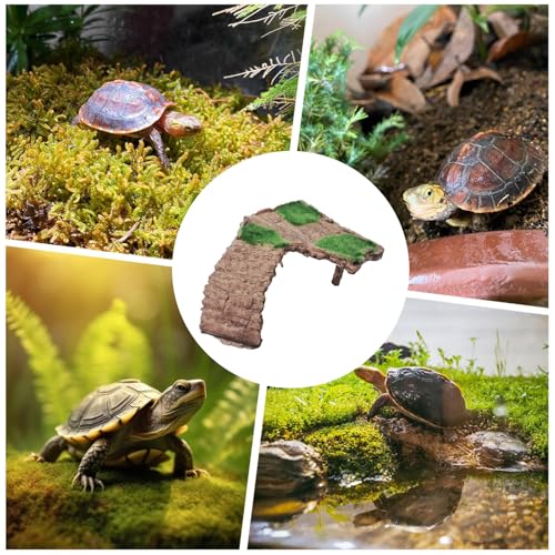 Plataforma de descanso para galápagos y ranas en terrarios 5