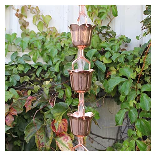 JA ỉJ`F[aKCh̗̎@Ba̋@\ƑIȎւ͍aъς IȐElZAGKg(P)