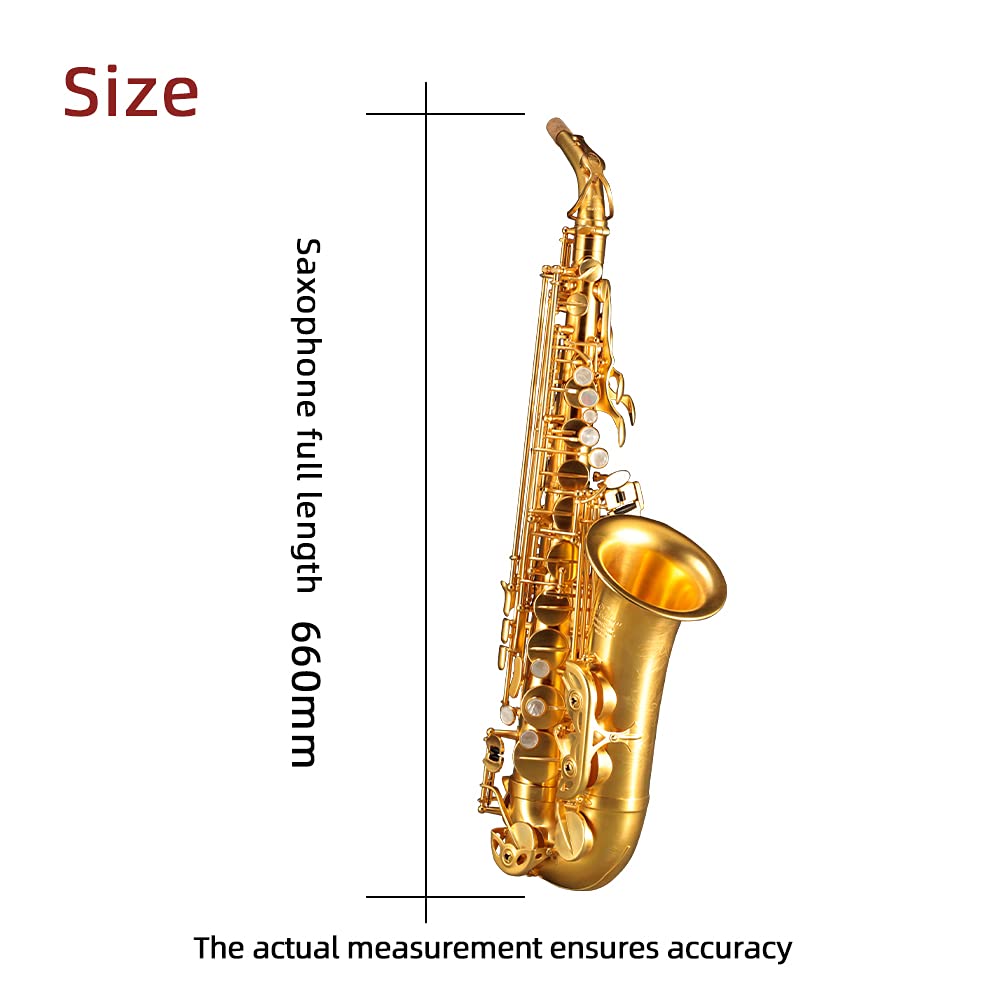 Rollins Saxophone alto RSA-X10-II,E flat Selmer 54-Key,Matière laiton, Or