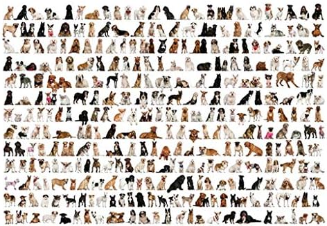 Dog & Fish 1000 Piece Jigsaw Puzzles Toy Brain Games Puzzle Adult Children's Educational Holiday Gifts DIY Toys Gift (A, 1000 Piece)