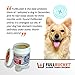 FullBucket Daily Dog Probiotic 435g, Kennel Size - Support Natural Digestion, Treat & Prevent Diarrhea - Probiotics, Prebiotics & Digestive Enzymes All in One Tasty Probiotic Powder for Dogs