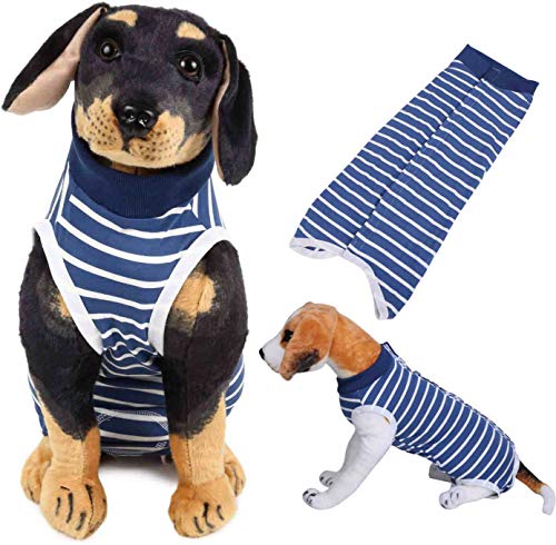 [ INNOVATION FACTORY ]  hbO p p㕞 p㒅 pEFA    r߂Ȃ 畆 ی D  ނ jp p XgXȂ p㕞 戵t (M, {[_[)