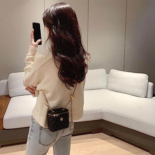 Leheybia 1 Pcs Quilted Crossbody Bags for Women for Women Quilted Chain Shoulder Bag Lady Casual Lattice Handbag3