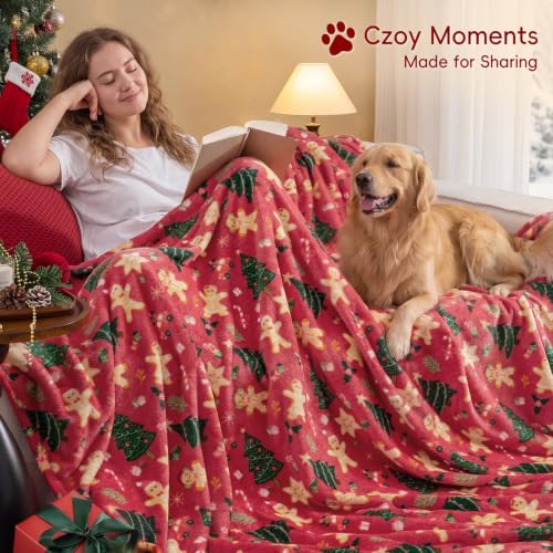 PHF Christmas Fleece Blanket Queen, 300GSM Plush Cozy Throws, Fall Decor by PHF - Used condition - Image 4