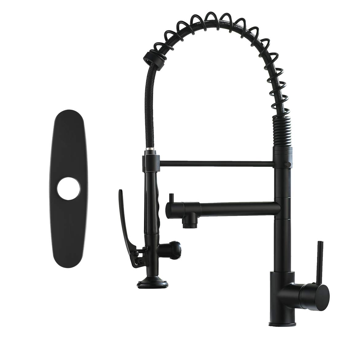 FapullyBlack Kitchen Faucet with Deck Plate