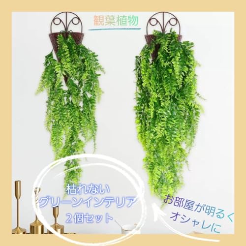 tFCNO[ 2Zbg  ݂艺 Ǌ| ϗtA Ǐ  k  ϗtA