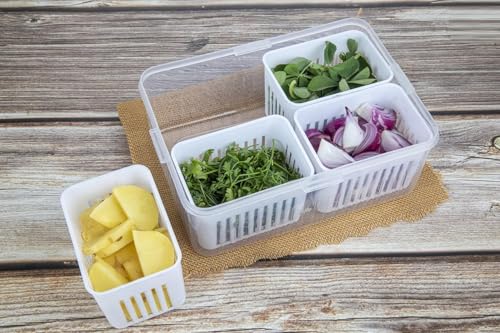 Image of Shuttle Art 4 Compartment Fridge Storage Boxes Freezer Storage Containers, Container for Kitchen Storage Set, Storage in Kitchen, Vegetable Storage, Draining Crisper Refrigerator Food Box