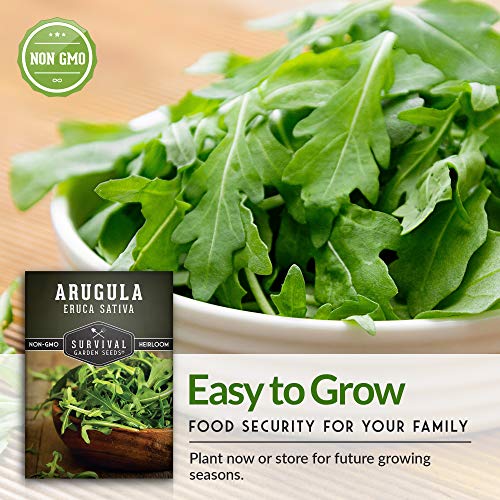 Survival Garden Seeds - Arugula Seed For Planting - Packet With Instructions To Plant And Grow Garden Rocket Green Leafy Vegetables In Your Home Vegetable Garden - Non-Gmo Heirloom Variety - 1 Pack #TOP7