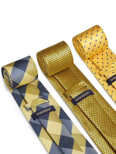 Image of HISDERN Mens Ties and Pocket Square Set Business Elegant Ties for Men Classic Lot 3 Pcs Wedding Party Neckties & Handkerchief