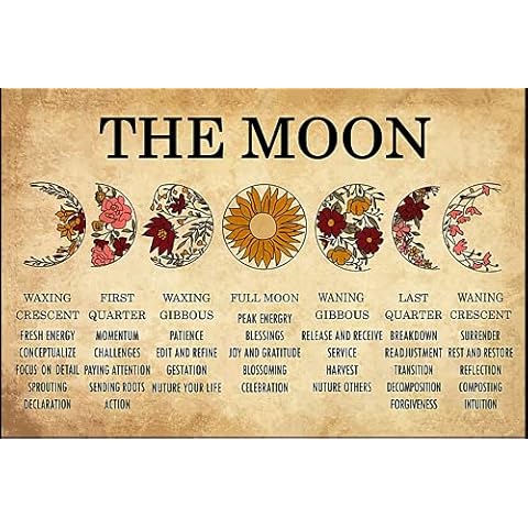Eeypy Wildflower Horizontal Moon Phase, Moon Lovers, Home Decoration, Tin Sign Metal Wall Art Cover