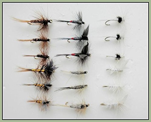 Confezione 40 Mosche Umide Miste Per Pesca Alla Trota, Assortite UK