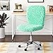 Urban Lifestyle Faux Fur Rolling Task Chair, Mint