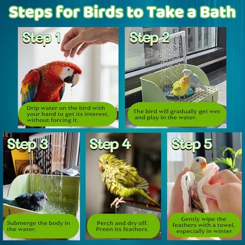 Image of Parakeet Bird Bath for Cage Indoor, Parrot Bird Shower Budgie Bath, Automatic Circulating Water Bathtub for Pet Bird, Lovebird, Cockatiel, Finches, Cockatoo, Conure (Grid-Direct)