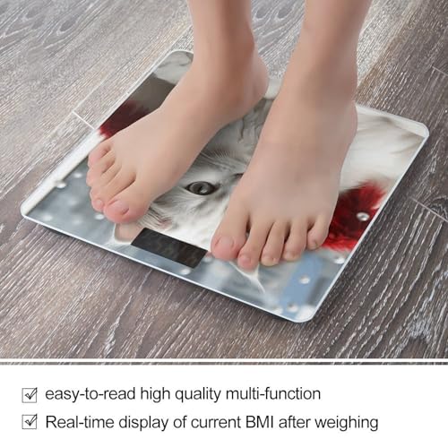 Báscula digital para baño con pantalla LCD y vidrio templado miniatura 5