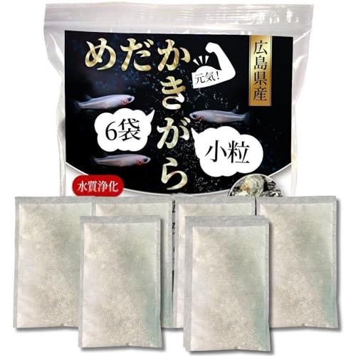 ߂y 6܁zVR100 Mς  LY yk  JLK z~ ANAE ۍ _J Mы  PH