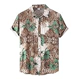 Herren-Hemd Kurzarm Sommer T-Shirt V-Ausschnitt Herren T-Shirts Gemustert Relaxed Fit Oversized T-Shirt Freizeit Heavyweight Casual Top (Mint Green, XL)