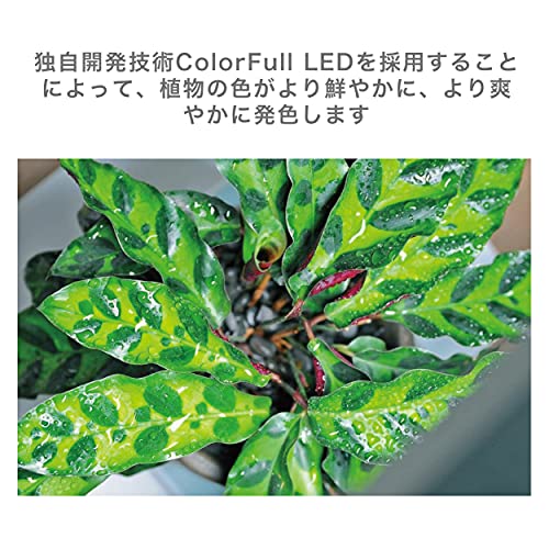 ONF Flat Nano Stand Plus White の商品画像 1