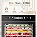 OLIXIS Food Dehydrator Machine, 500W Jerky Dehydrators with 8 Stainless Steel Large Trays, 185°F Temperature Control & 24H Timer Food Dryer for Fruit Meat Herb Dog Treats, Black