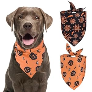 Kytely K28HABA2 2-pak Apaszek Halloweenowych dla Psów