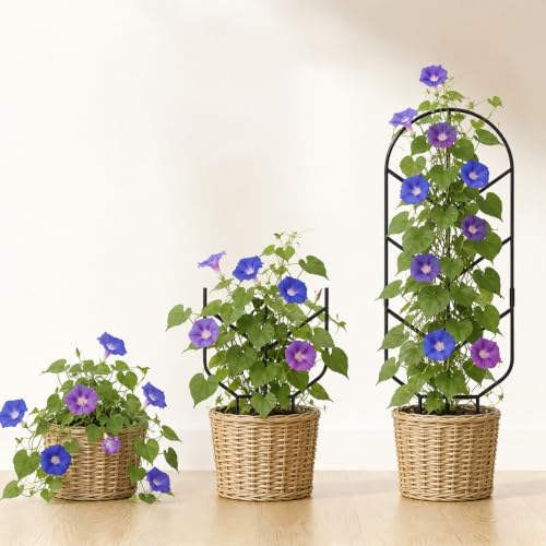 Image of Plant Trellis for Potted Plants, Trellis for Climbing Plants
