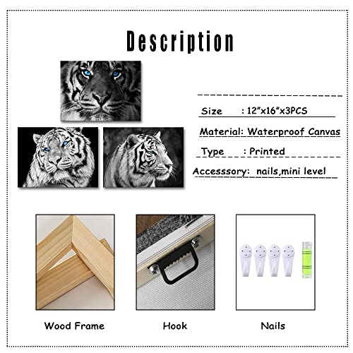 Tiuauit 3 Pieces Blue Eyed Tiger Wall Art Black And White Animal Picture Prints Gallery Wrap Modern Home Art Ready To Hang 12"X16"X3Pcs #TOP4