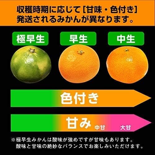 美味いとこどり 和歌山 みかん の商品画像 4