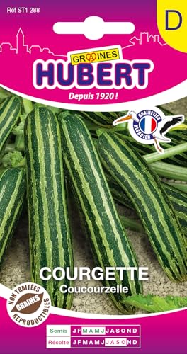 Graines de Courgette d'Italie Coucourzelle - NON coureuse