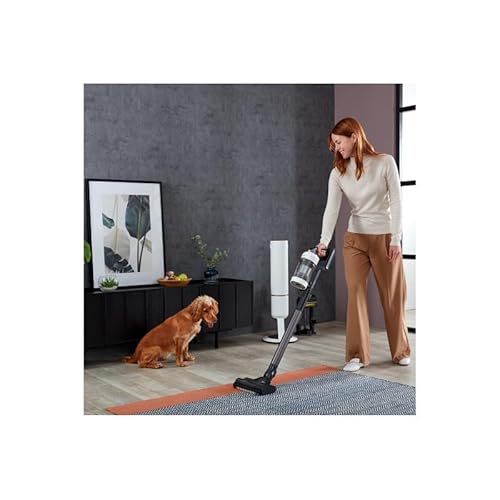 Samsung VS20B95C43W/WD, Aspirateur à Main sans Fil, Noir chromé