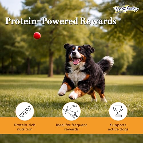 Image of Chicken Dog Treats Combo Pack 200gm x 5 | Natural Protein Rich Dog Snacks for Training & Reward | Healthy Chicken Treats for Adult Dogs & Puppies