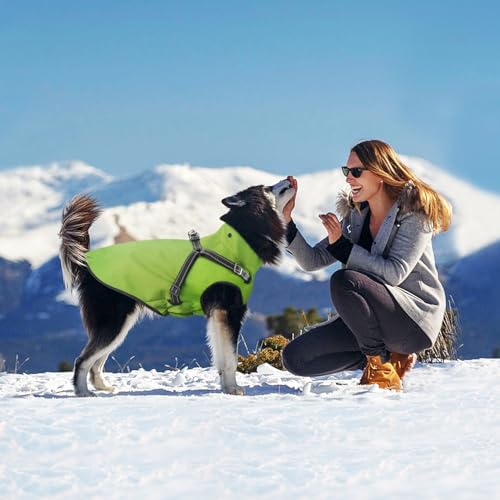 Mosucoirl Dog Raincoat Waterproof Dog Hoodie Reflective Dog Raincoat Hooded Adjustable Rain Jacket for Small Medium Large Dogs Puppies (Green, M)