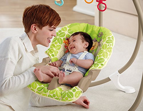 Fisher Price Baby Gear BCG33 - Altalena Cuccioli