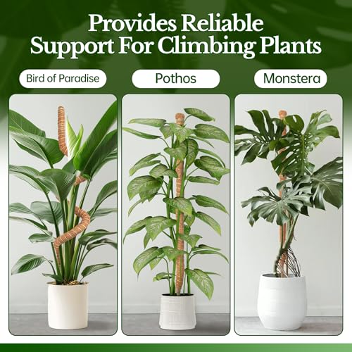 Haoledy 120cm Rankhilfe Monstera, Biegbarer Moosstab für Monstera Pflanzenstütze mit 2 stück Juteseilen 2m, 7mm Aluminiumkern Kokosstab Pflanzen Rankhilfe Pflanzenstab Monstera für Zimmerpflanzen
