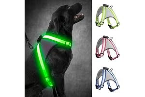 Light Up Dog Harness: Illuminate Nighttime Walks Safely