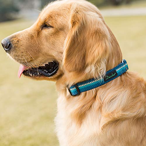 Dazzber Martingale Collar Nylon Dog Collar No Pull Pet Collar Heavy Duty For Medium And Large Dogs, Adjustable 17 Inch To 25 Inch, Turquoise Green #TOP2