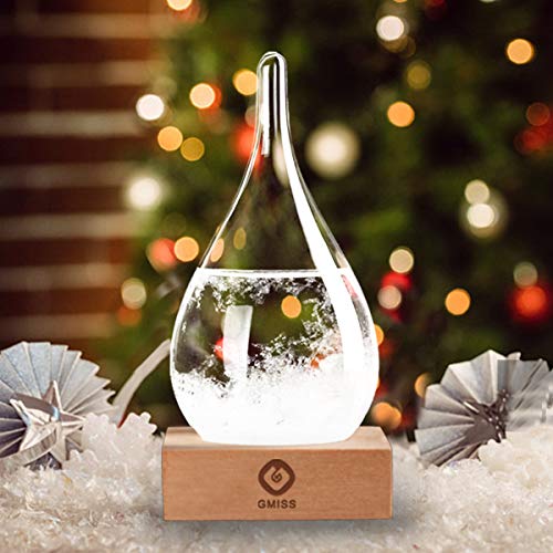 Storm Glass Weather Predictor Snow Globe Weather Forecast Christmas Decorative Weather Glass Storm...