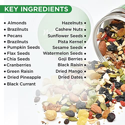 Image of Nutty Gritties Antioxidant Trail Mix 325g | 21 Superfoods in 1 Mix | Including Almonds, Hazelnuts, Brazil Nuts, Berries, Dry Dates, Chia Seeds, Pumpkin Seeds and Many More Mixed Dry Fruits | Resealable Jar ( Pack of 1 )