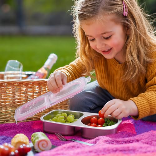 EC-Gaze Stainless Steel Snack Containers for Kids, 2 Compartment, 4 Pack by EC-Gaze - Used condition - Image 6
