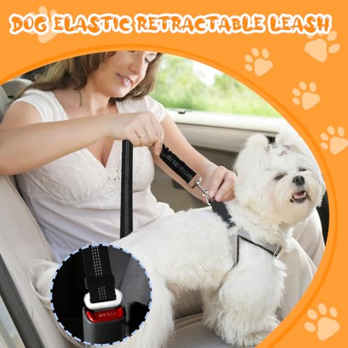 GNALIA Arnes Coche Perro Homologado, Cinturón Seguridad Ajustable Para Vehículos, Arnés Seguridad Con Amortiguador Elástico Antichoque, Color Negro 1 Unidad - imagen 4