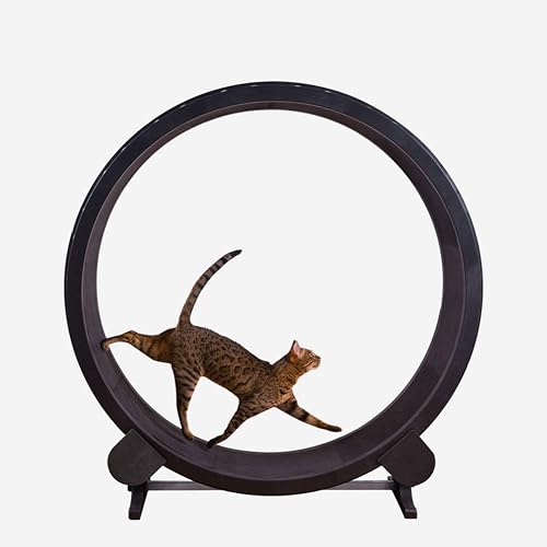 RSTJVB Cat Scratch Tablero Gato Ejercicio Rueda Cinta De Correr Rueda Ferris Muebles Muebles Agarra Grawling…