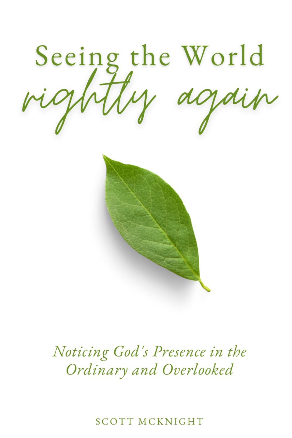 Seeing The World Rightly Again: Navigating God's Presence in the Ordinary and Overlooked