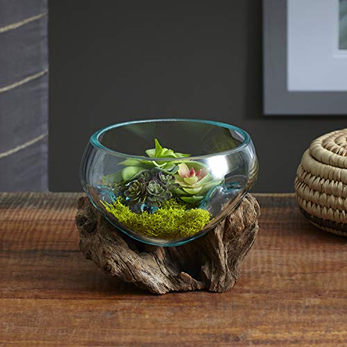 Cohasset Shmini Molten Glass with Large Opening - Image 3