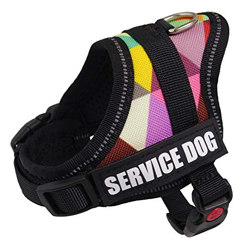 Barrel Chested Dog The 15 best products compared Wild Explained