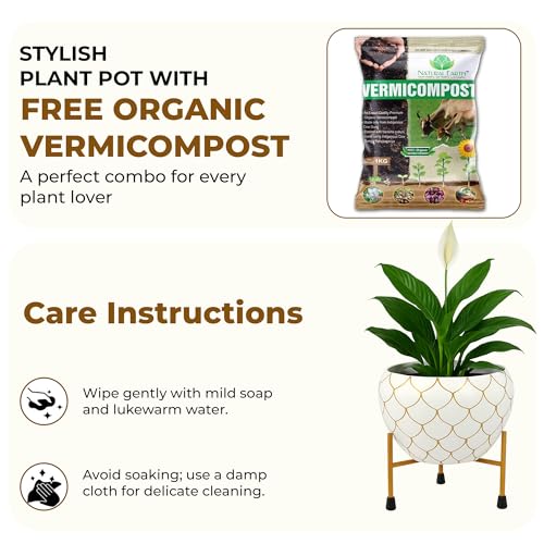Image of Natural Earth Metal Flower Vase Planter Pot with Iron Stand | Decorative Plant Cachepot for Indoor & Outdoor Use | Succulent Pot for Home & Garden Decor (White Gold Nest)