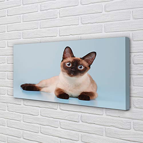 Toile art mural chat couché grand format 140x70cm pour mur - 3