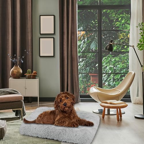 Domarex Hundebett Katzenbett weich flauschig 70x50 cm - orthopädisches Haustierbett für kle-ine Hunde & Katzen - rutschfestes, pflegeleichtes Kuschelkissen aus Polyester mit Silikonfüllung - Grau
