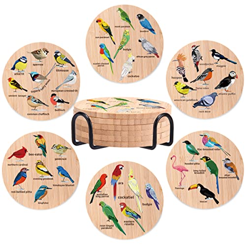 Birds Bamboo Wood Coasters Set of 6 Funny Coasters with Holder