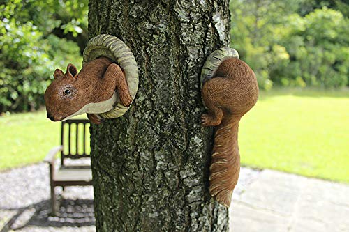 garden mileu00ae Novelty Red Squirrel Garden Animal Tree Peeker Novelty Outdoor Garden Ornament Garden Tree Decoration Garden Sculpture Lawn Statues Home Decor.