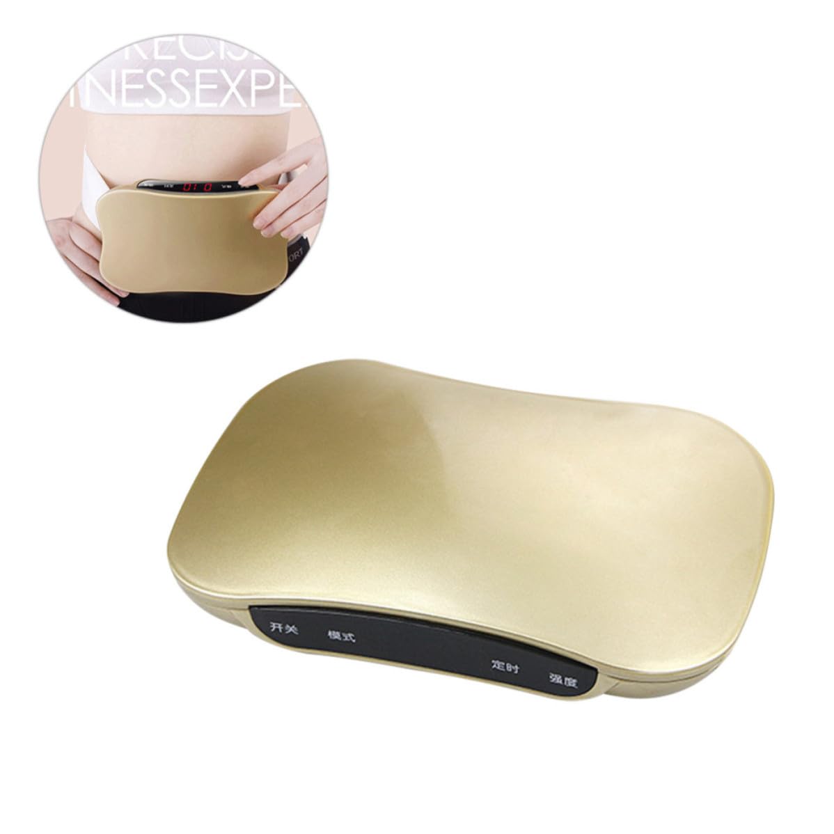 Elektrischer Vibration Ganzkörper Taillengürtel 220v, für Damen