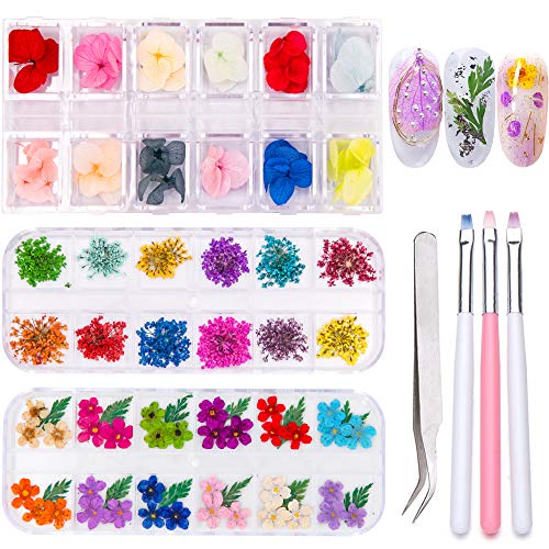Dried Flowers Nail Art, 36 Colors Dry Nail Flowers 3D Nail Art Stickers, Dried Nail Flowers Natural Real Life Nail Flowers Nail Decoration Supplies, 120 Pieces Starry, Five Flower, Leaves & Hydrangea