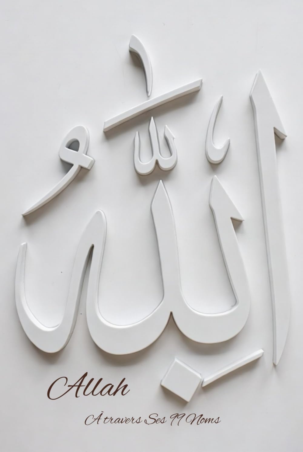ALLAH À travers Ses 99 Noms: Un chemin intérieur à travers les Noms divins